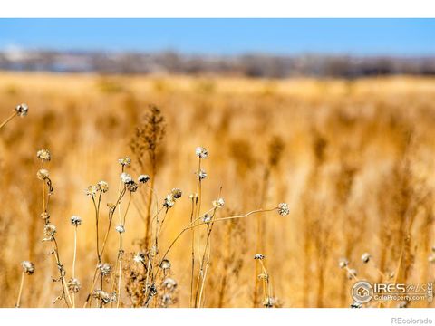 Unimproved Land in Commerce City CO 1 128th Avenue 15.jpg