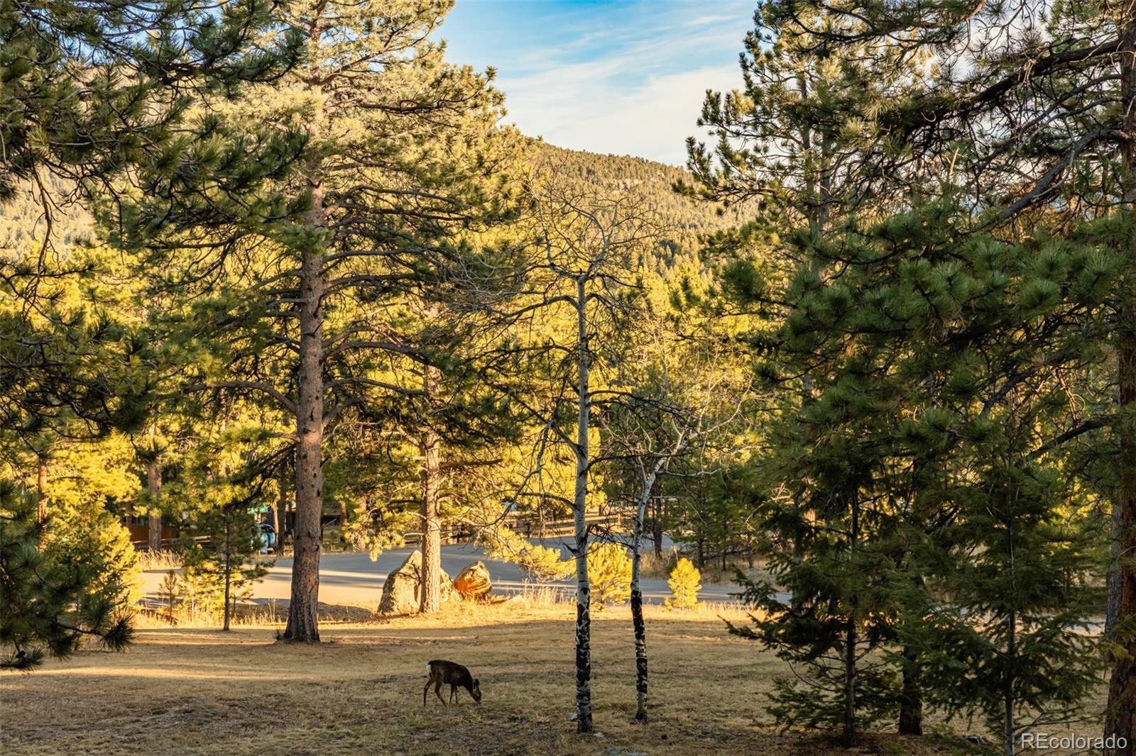 28735 Little Big Horn Drive