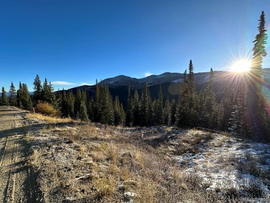 504 Carroll Lane