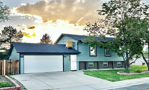 4303 S Yank Street Morrison CO 80465