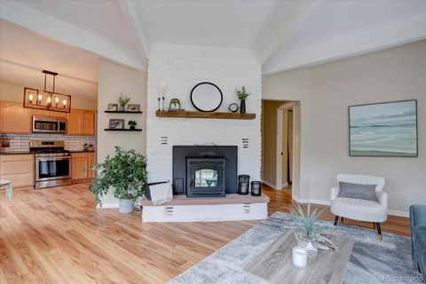 9288 Krashin Drive Conifer CO 80433