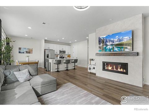 1049 Urial Drive Severance CO 80550