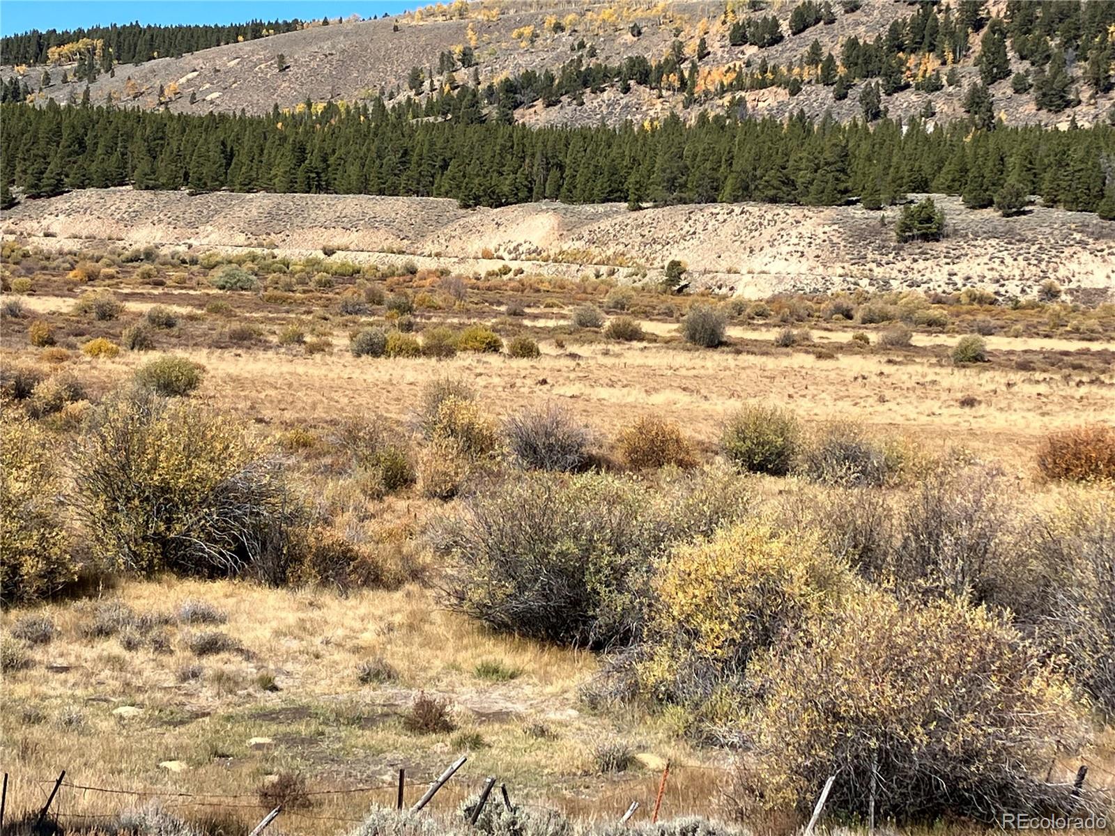 Leadville Land