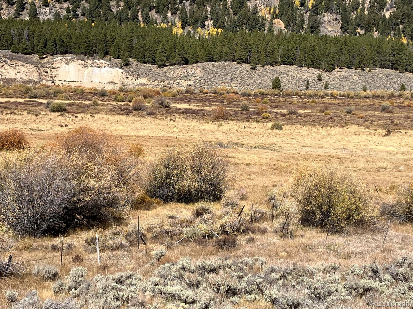 Leadville Land