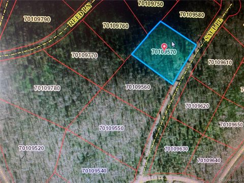 1043 saul Place Fort Garland CO 81133