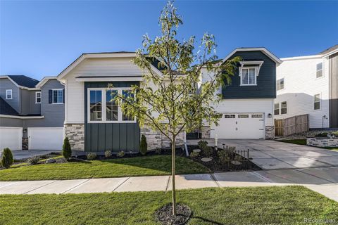 16576 Black Rose Circle Parker CO 80134