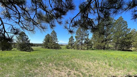 Luxury Homes Parker Colorado & Parker CO Horse Property 10290 Democrat Road Parker Co 80134