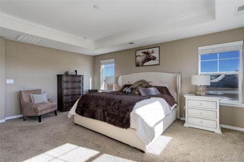 Single Family Residence in Parker CO 2617 Loyd Circle 28.jpg