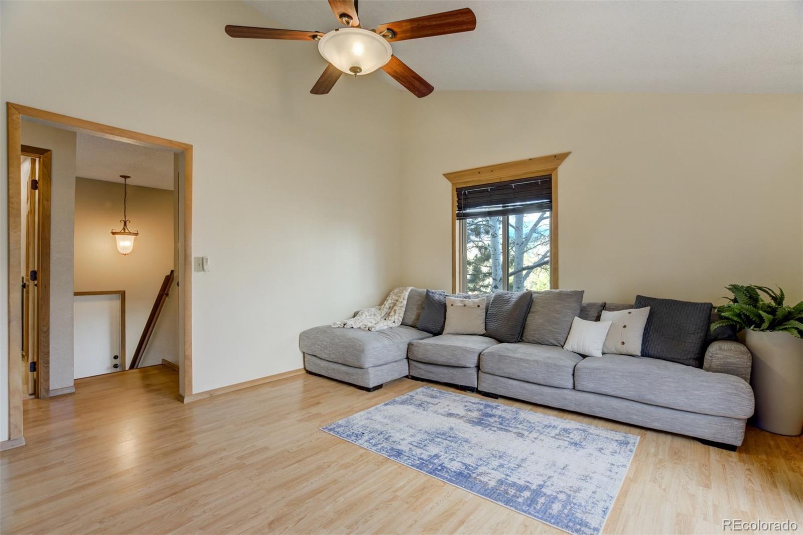 1011 South, Woodland Park, CO, 80863 4 1011 South