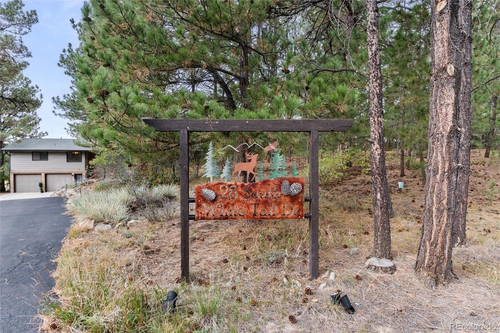 Photo of 28 S White Tail Drive, Franktown, CO 80116 (MLS # 4728980)