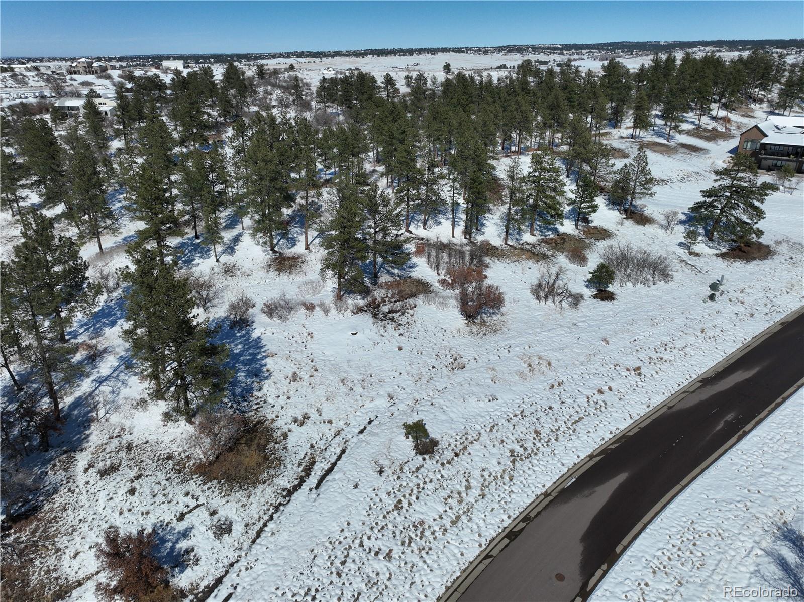 8125 Pine Straw Place