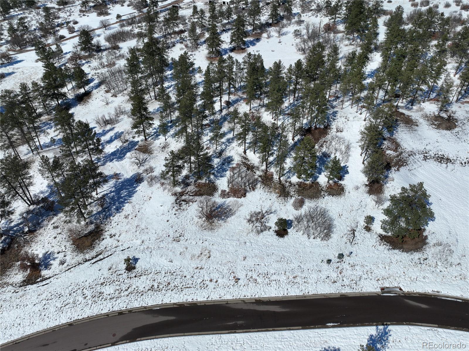 8125 Pine Straw Place