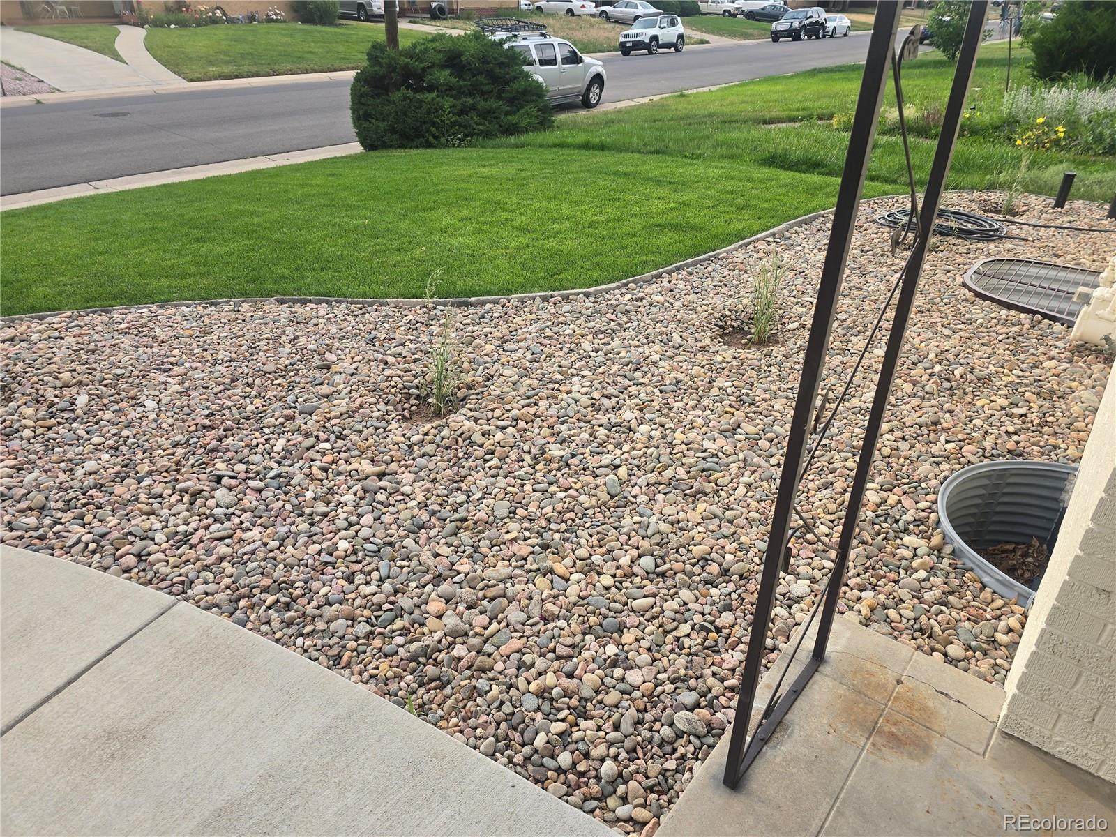 3540 Niagara Street, Denver, CO, 80207 3 3540 Niagara Street