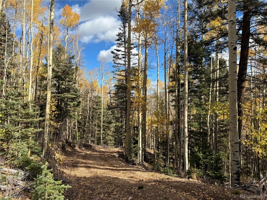 LOT 5366 SLEDGERS ROAD, SAN LUIS, CO 81152 - Image b7d49a9cbc2a21a4ebfacdabd2c9a55d/1496702086