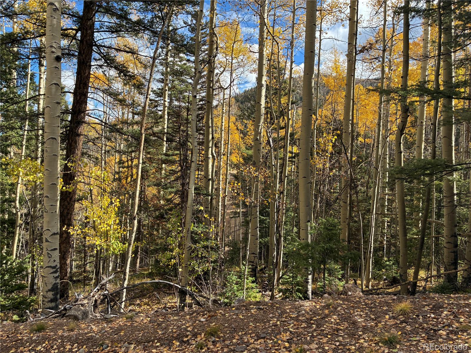 LOT 5366 Sledgers Road