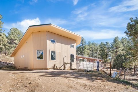 Photo of 947 Sleepy Hollow Drive, Bailey, CO 80421 (MLS # 3318614)