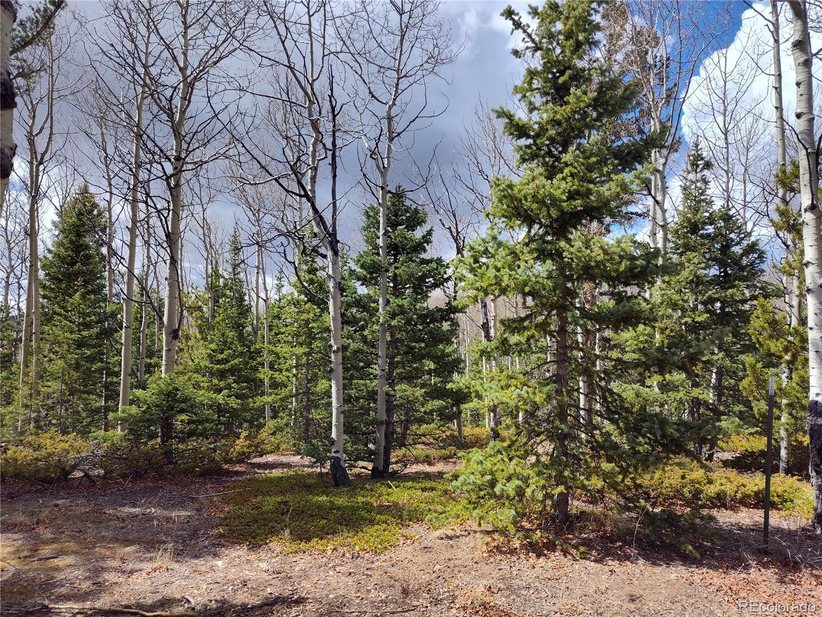 12201 S State Highway 67