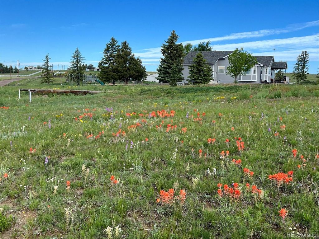 Photo of 3447 Wild Rose Circle, Parker, CO 80138 (MLS # 1551078)