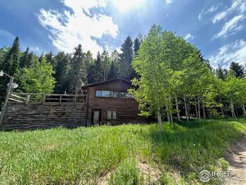 Single Family Residence in Nederland CO 79 BEAVER CREEK Drive.jpg