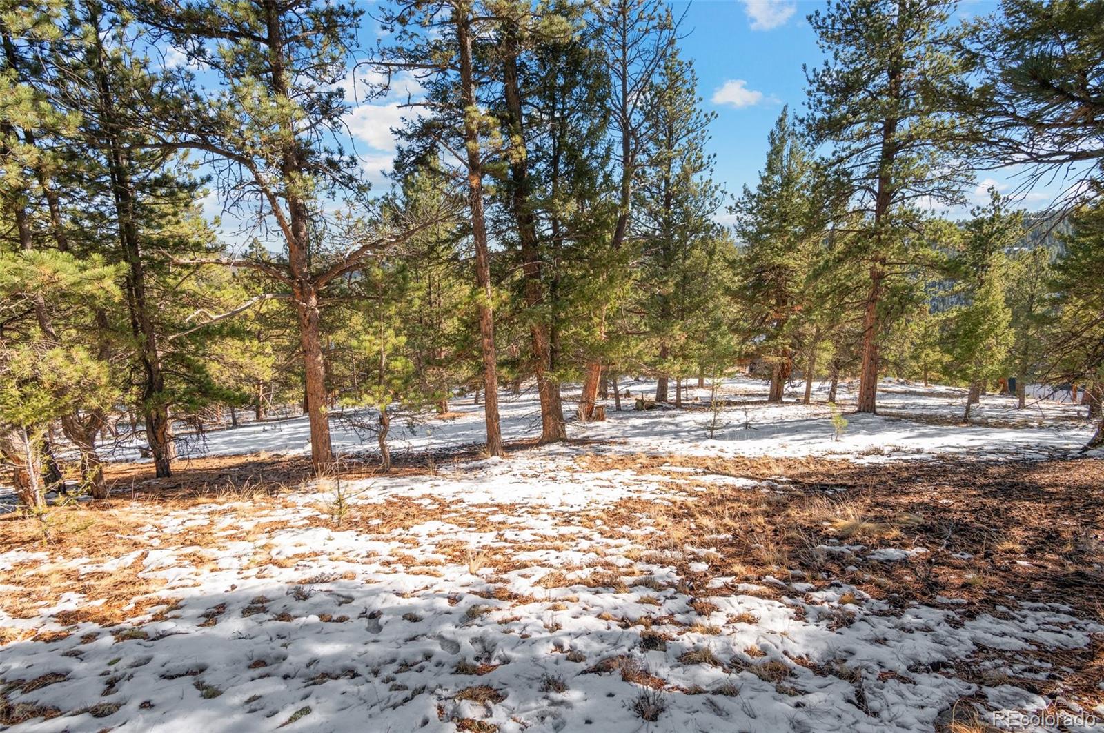 35441 Upper Aspen Lane