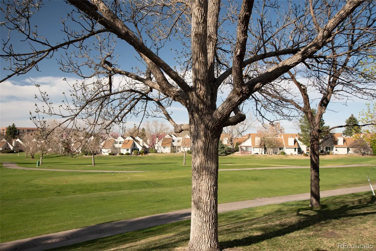 Aurora, Colorado 80014, United States, 2 Bedrooms Bedrooms, ,2 BathroomsBathrooms,Residential,Active,117272