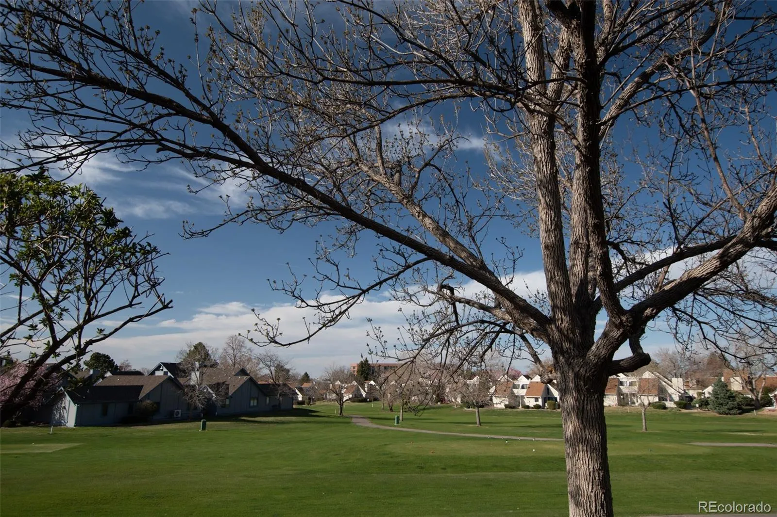 Aurora, Colorado 80014, United States, 2 Bedrooms Bedrooms, ,2 BathroomsBathrooms,Residential,Active,117272