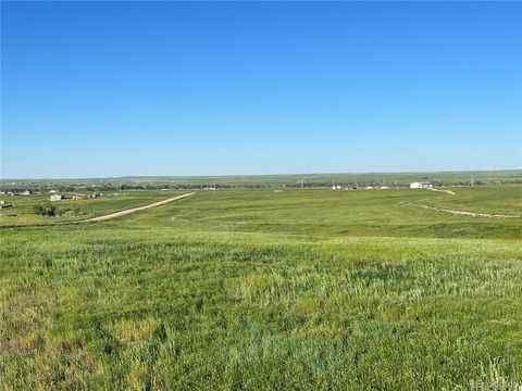 Unimproved Land in Agate CO 35520 County Road 160.jpg