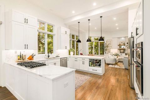 4517 Silver Cliff Court Castle Rock CO 80108