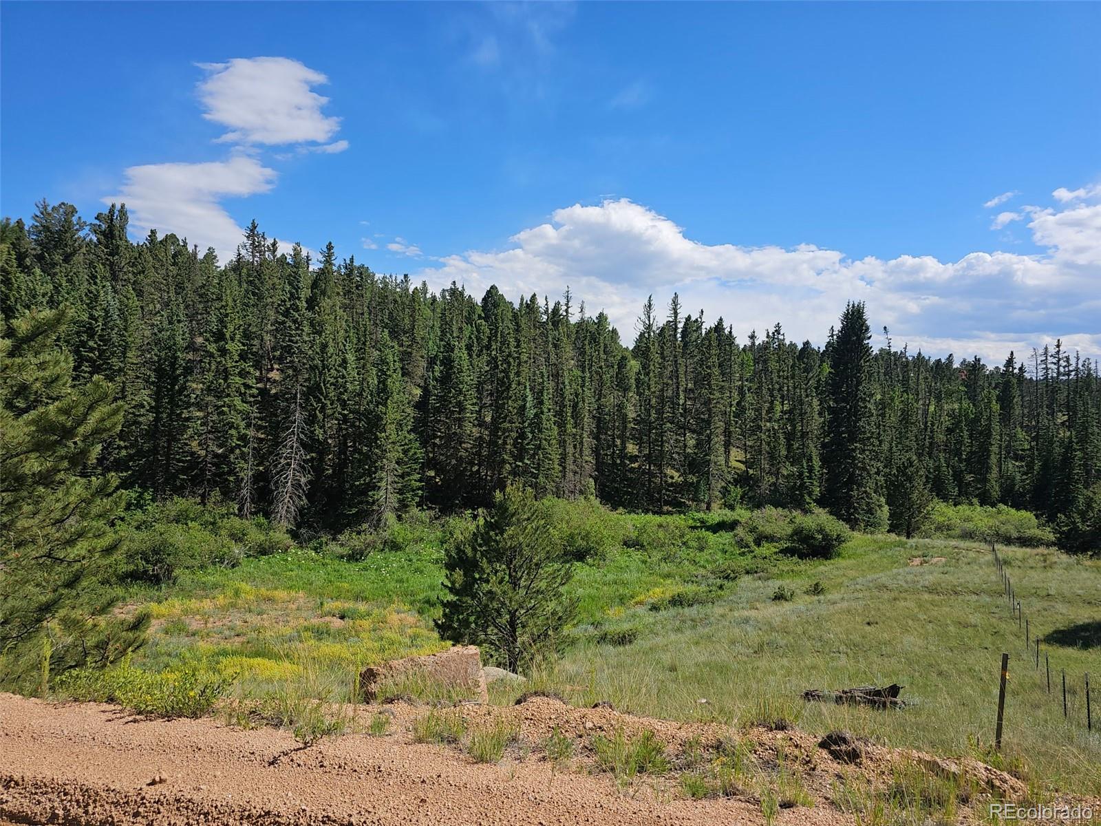 1164 Arapahoe Creek Trail