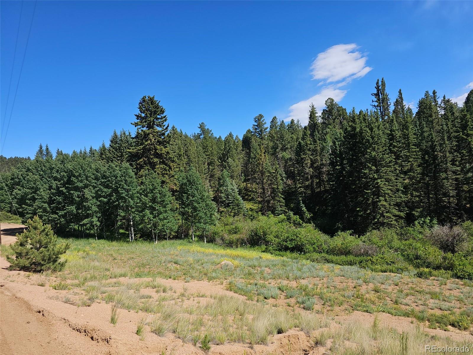 1164 Arapahoe Creek Trail