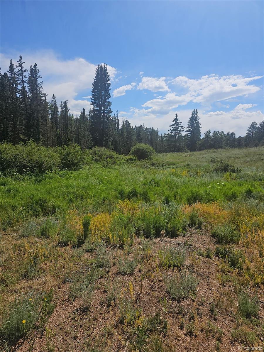 1164 Arapahoe Creek Trail