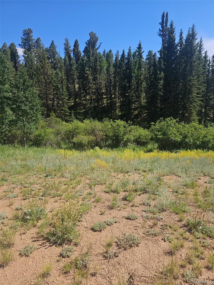 1164 Arapahoe Creek Trail