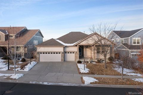 11759 S Rock Willow Way, Parker, CO 80134 - #: 9315653