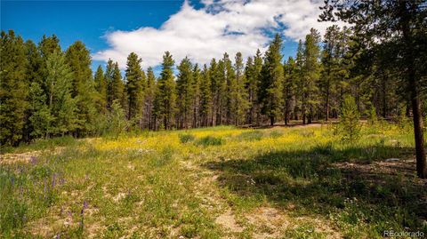 609 Mountain View Drive Leadville CO 80461