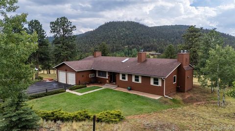 48 Allen Circle Pine CO 80470