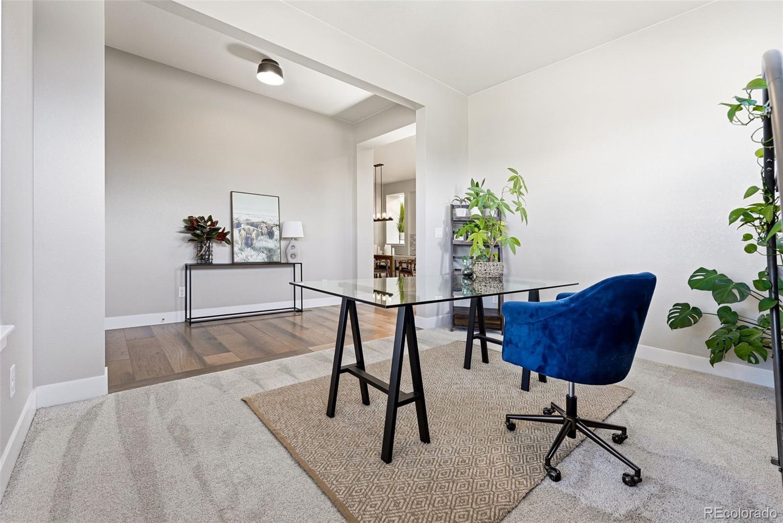 507 Leo Drive
