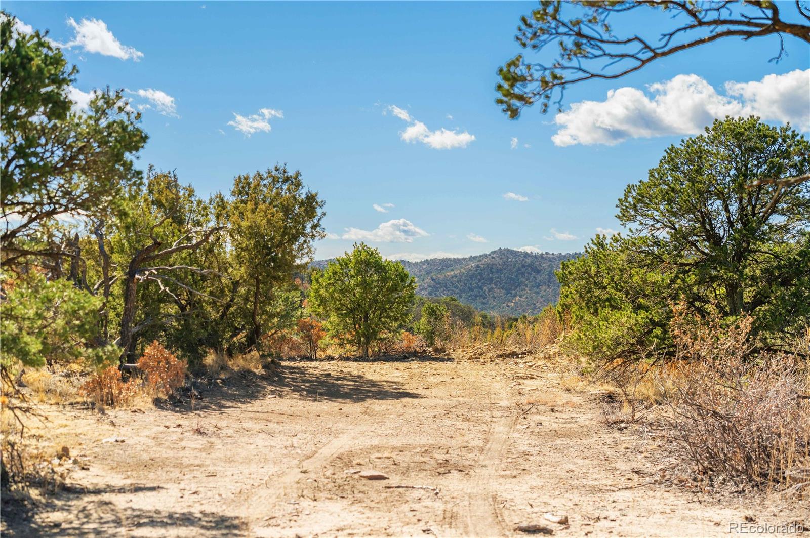 #26 Rancho Verde Road