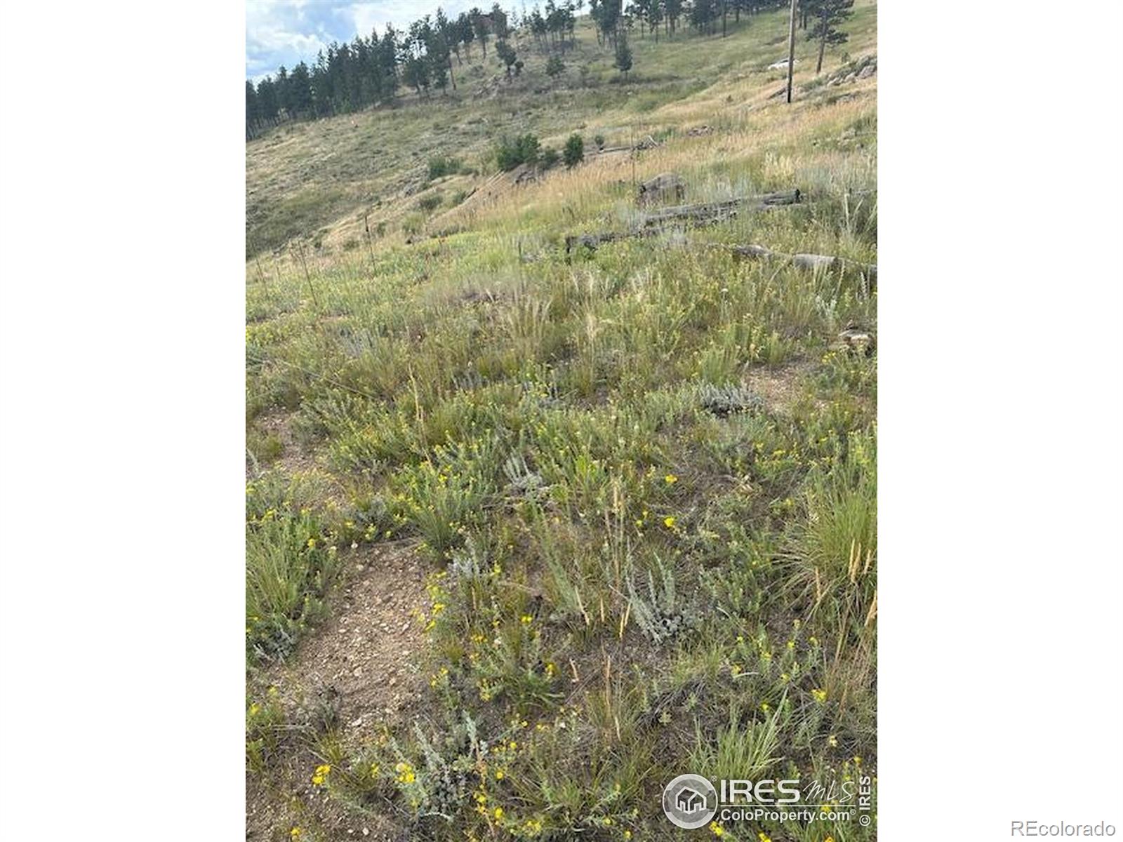 280 County Road 83