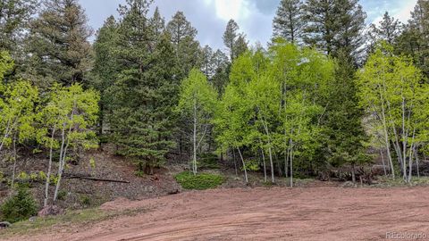 918 Pinon Lane Florissant CO 80816