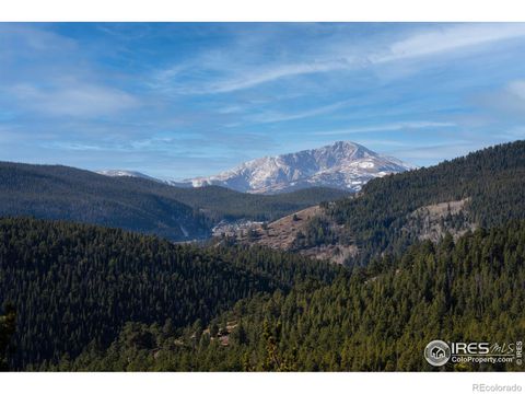 15 Ridge View Road Nederland CO 80466