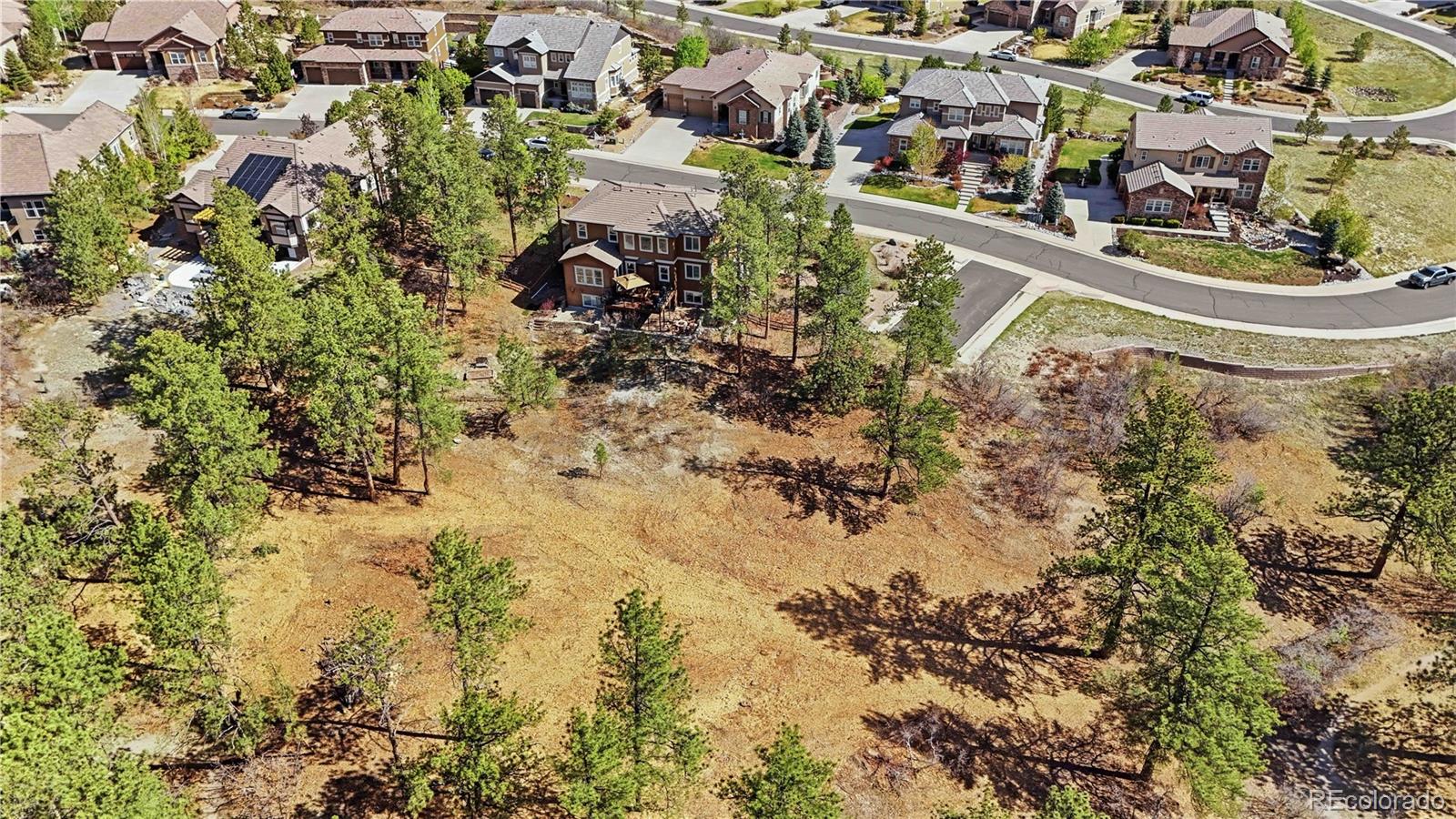 1600 Knotty Pine Way