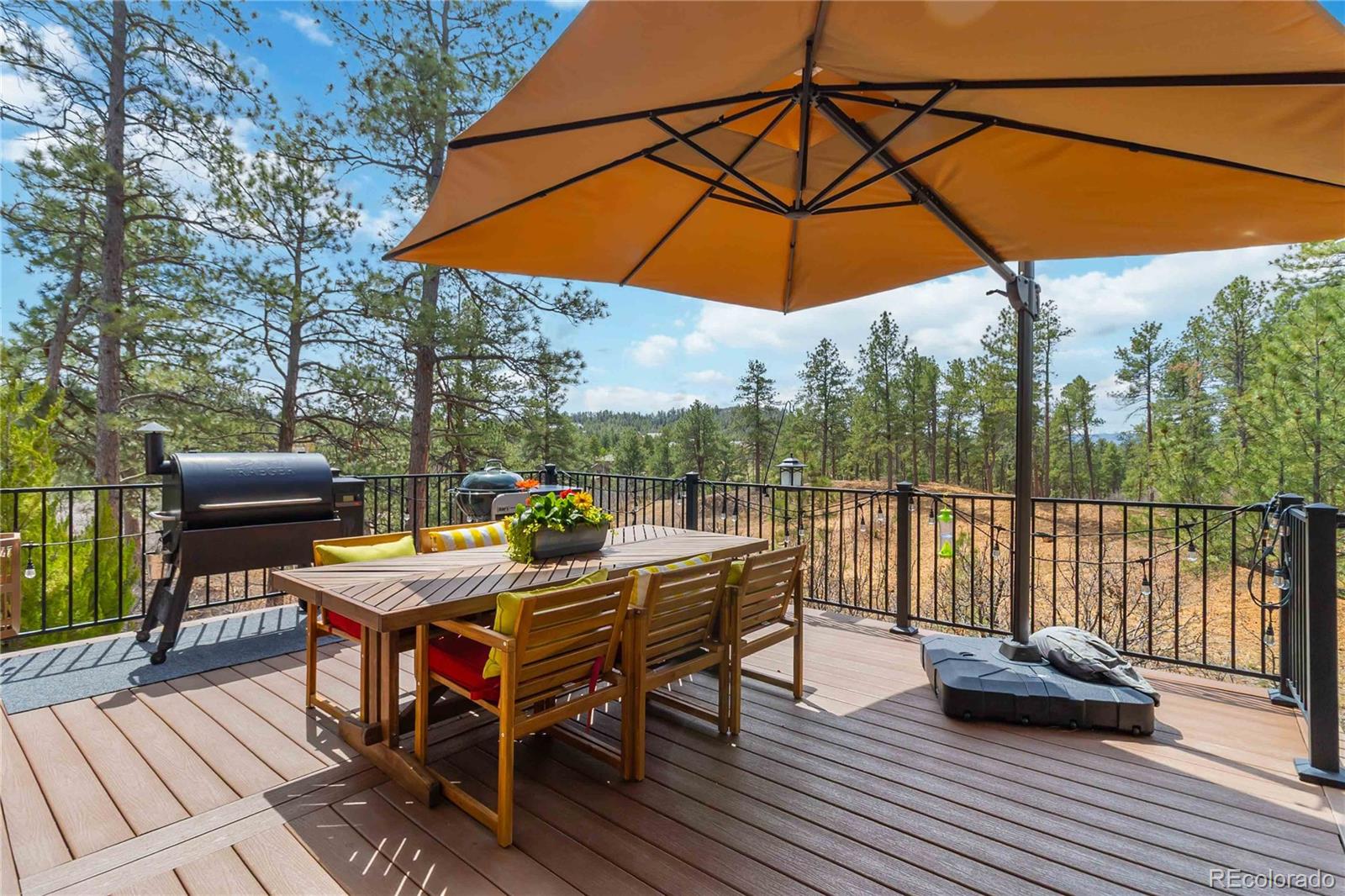 1600 Knotty Pine Way