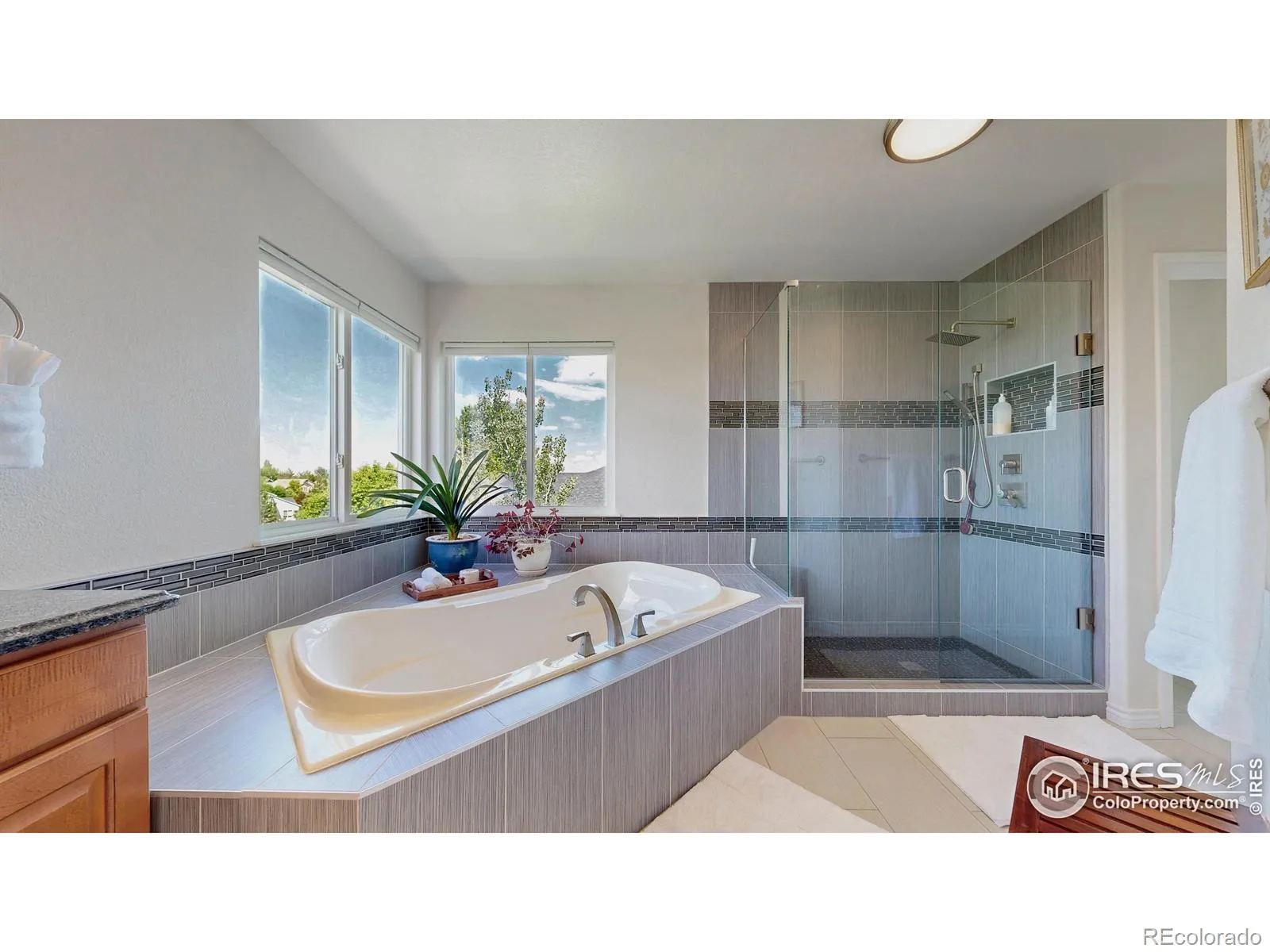 Erie, Colorado 80516, United States, 6 Bedrooms Bedrooms, ,4 BathroomsBathrooms,Residential,Active,197093