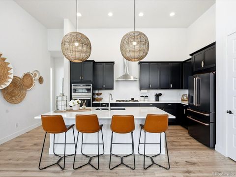 3268 Carabiner Street Castle Rock CO 80108