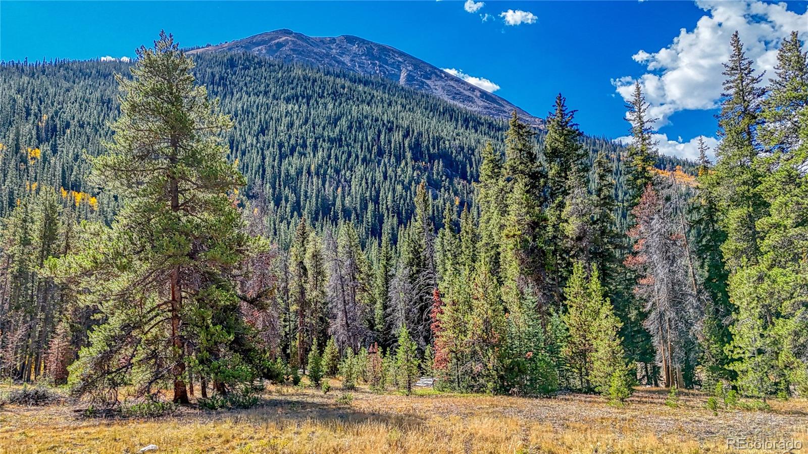 TBD Highway 82