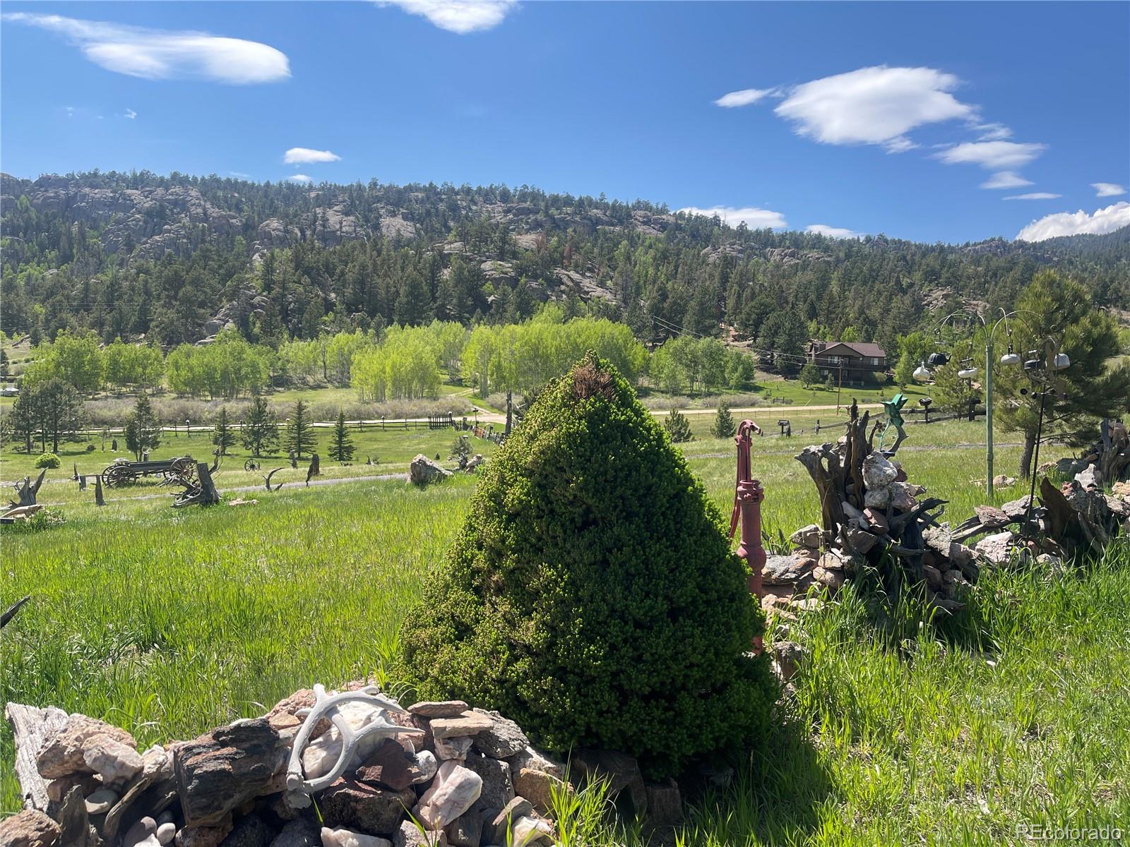 60 Pawnee Path, Lake George, CO, 80827 4 60 Pawnee Path