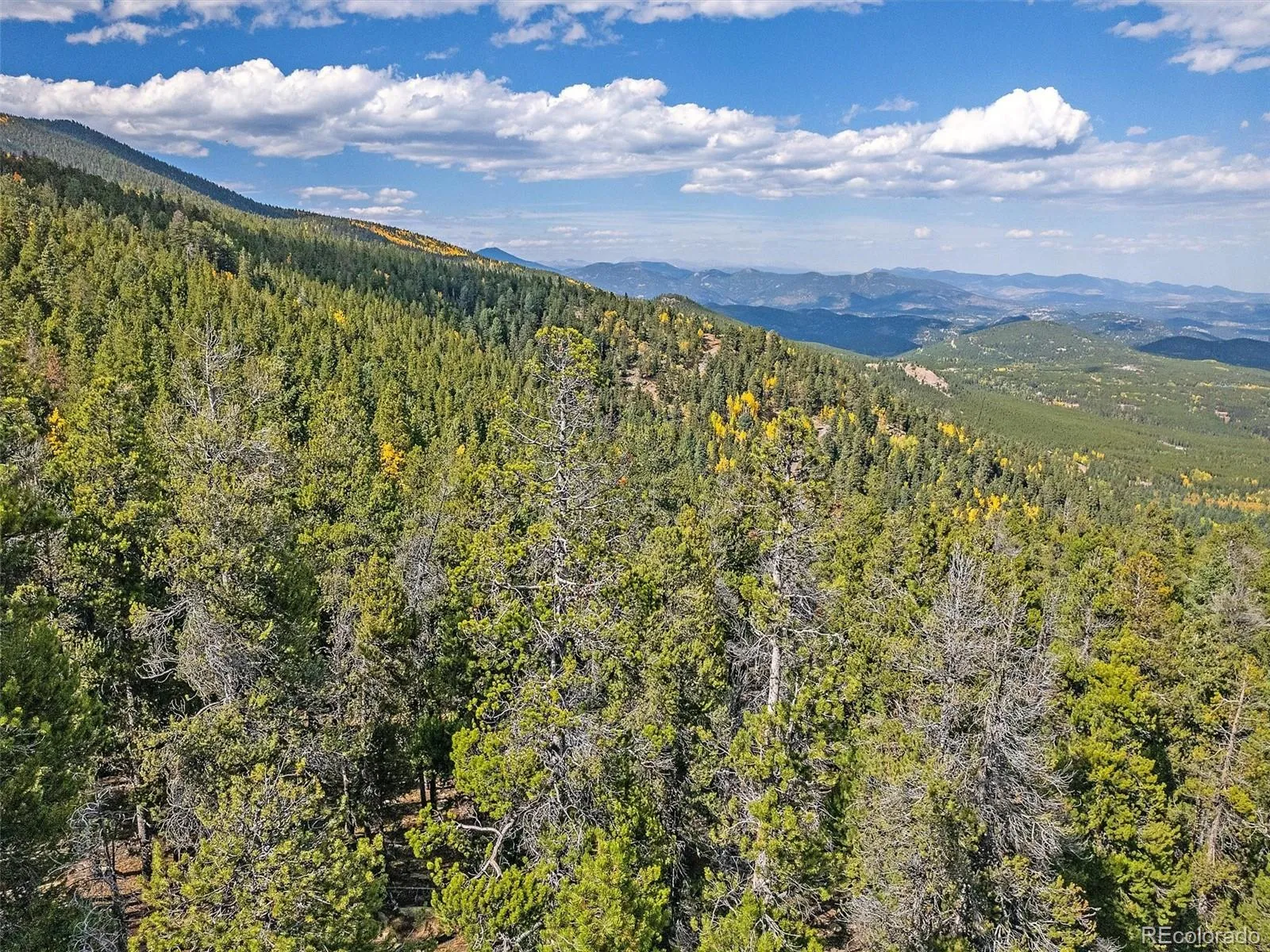 Conifer, Colorado 80433, United States, ,Land,Active,41852