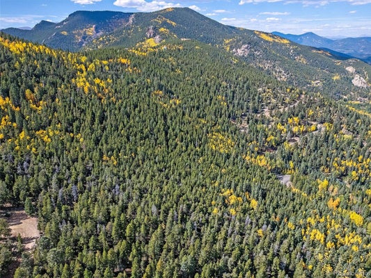 000 EDWARD DRIVE, CONIFER, CO 80433 - Image bb5891e8f91cbcdcbb30c272e59ac539/795726255