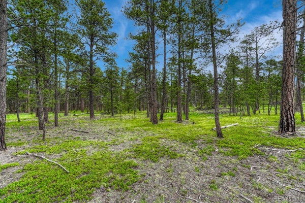 000 WYANDOTT DRIVE, COLORADO SPRINGS, CO 80908 - Image bb82959418d6077b9cd4ab59e33d1dff/3442019047