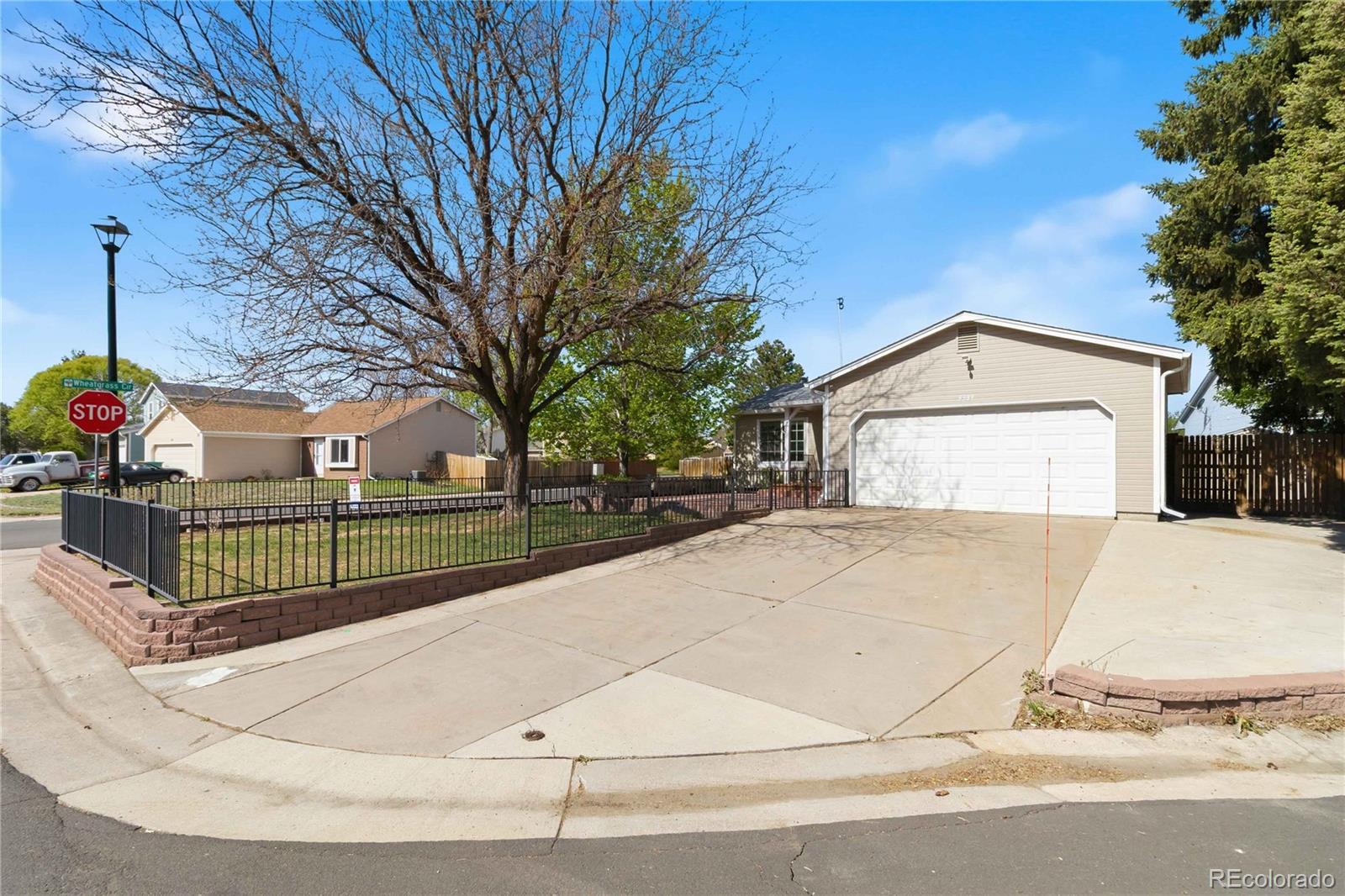 8389 Curlycup Place